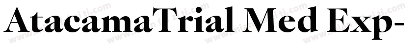 AtacamaTrial Med Exp字体转换